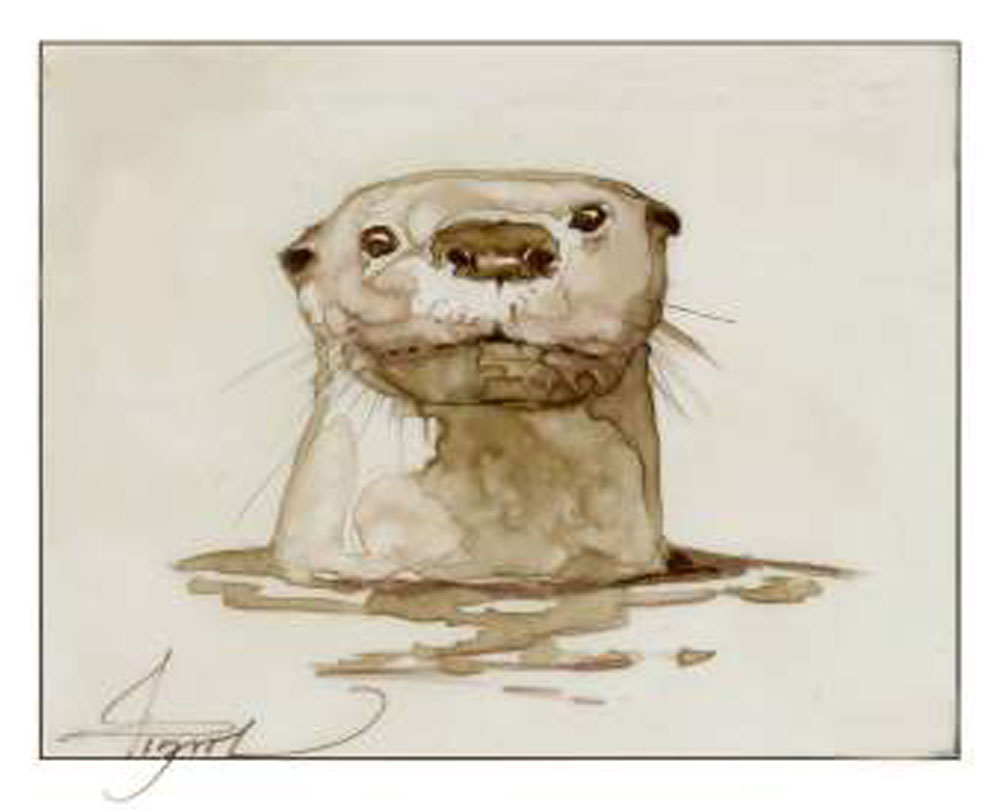 Hand-drawn image of a river otter